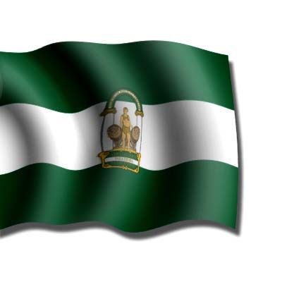 EXAMEN ANDALUCÍA 2018